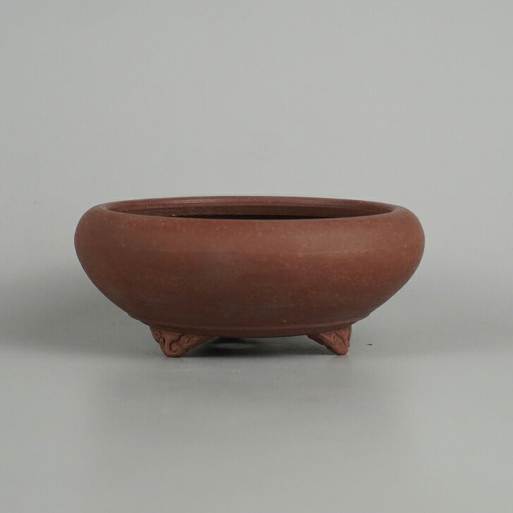 Bonsai Pots | Potted Plants and Gardening Supplies Specialist