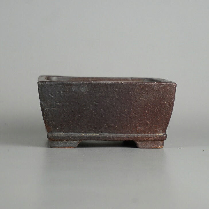 Bonsai Pots | Potted Plants and Gardening Supplies Specialist