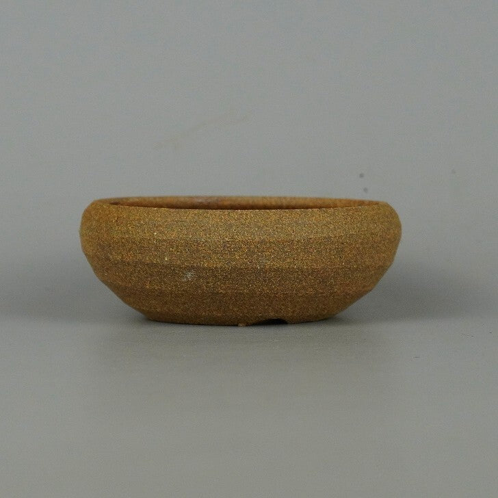 Bonsai Pots | Potted Plants and Gardening Supplies Specialist