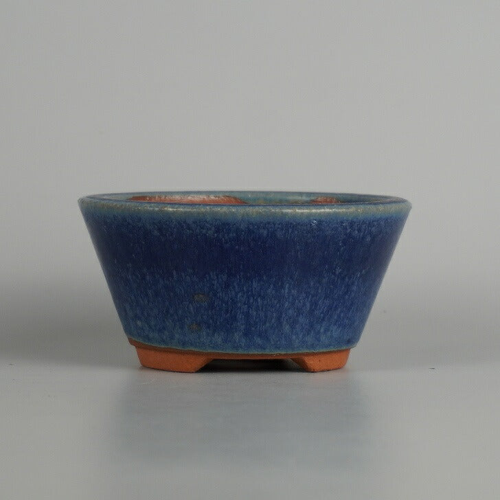 Bonsai Pots | Potted Plants and Gardening Supplies Specialist
