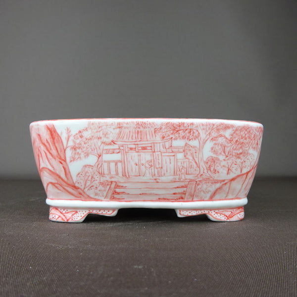 盆栽鉢 高山画 ゆうき祥石ボデー 赤絵 長方鉢 h1198426271