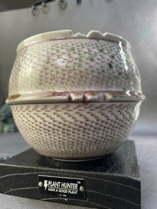 あ640 XL 薄花の雫 HAND Made 植木鉢 陶器検（アガベ パキプス 姫巌竜 帝釈天 黒火焔 factory SRL カタチ製作所 グラキリス 塊根植物 h1211665776