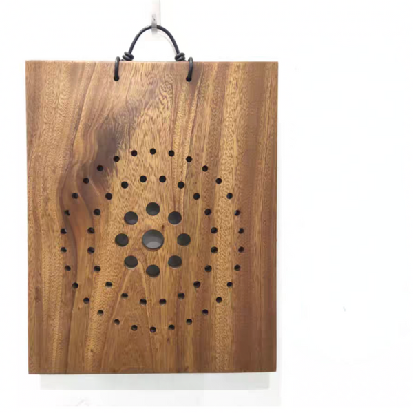 鹿角蕨種植板（staghorn fern plaque）