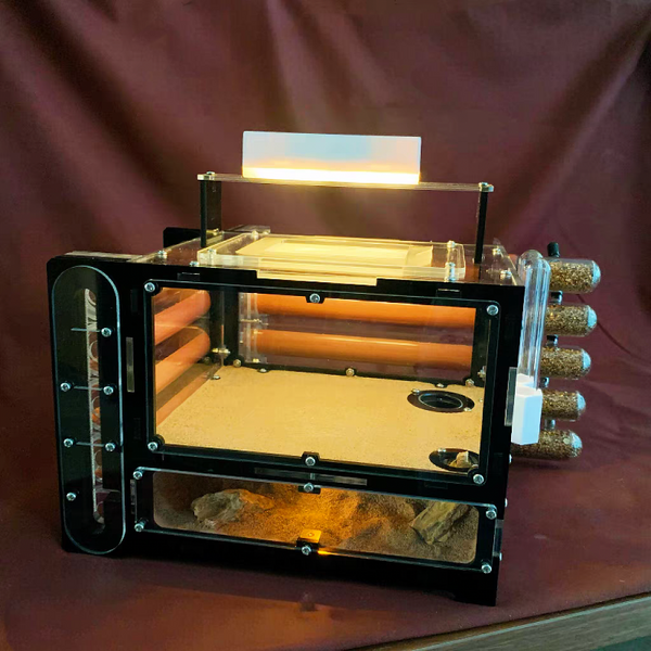 閣樓沙地蟻巢-螞蟻造景 ant landscape（ant nest）