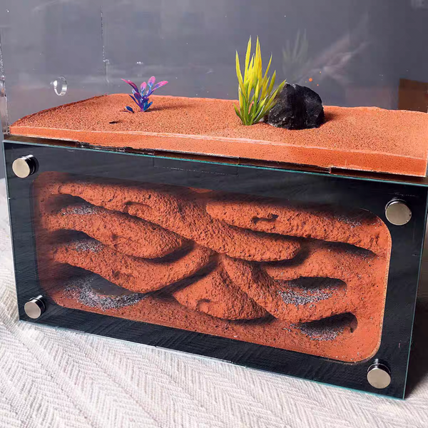 帝國螞蟻巢-混凝土蟻巢螞蟻造景（ant nest）