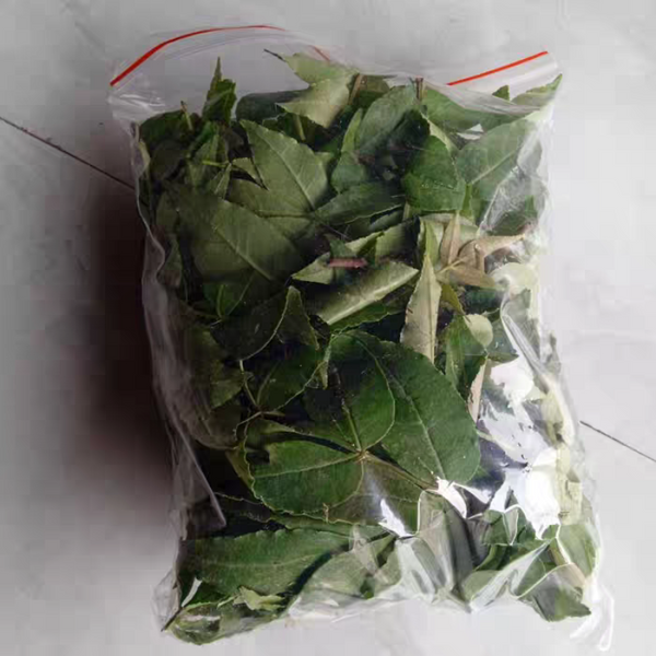 柑橘鳳蝶幼蟲食物（Zanthoxylum bungeanum）