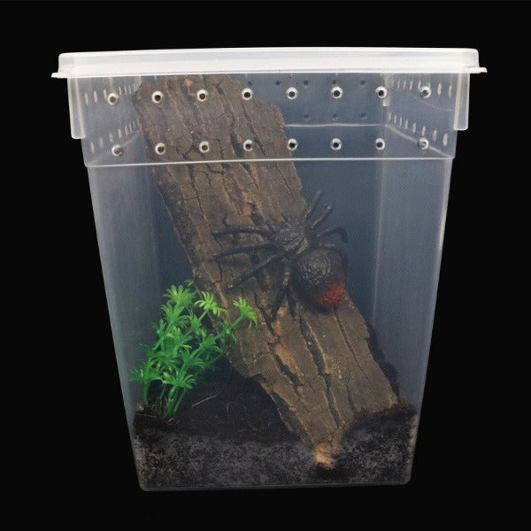 樹棲爬蟲飼養盒