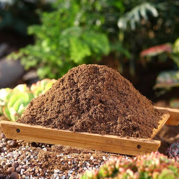 品氏泥炭土-丹麦进口 Peat soil