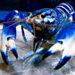 蛇紋藍月螯蝦 Cherax blue moon  （Cherax sp. ）