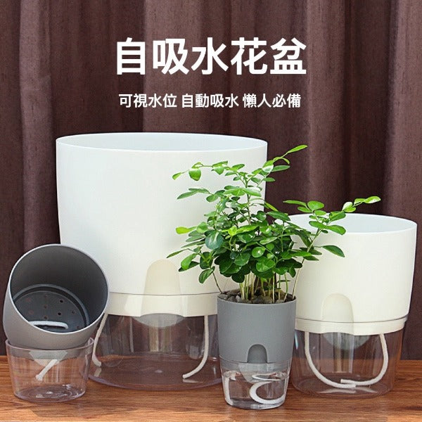 自動吸水花盆 Automatic water-absorbing flowerpot