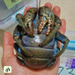 椰子蟹 Coconut Crab ( Birgus latro )