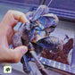 椰子蟹 Coconut Crab ( Birgus latro )