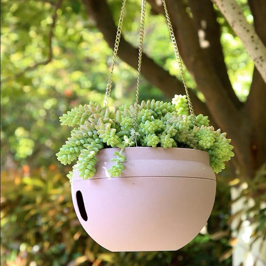 自吸水懸掛式吊盆 Self-Absorbent Hanging Flower Pot