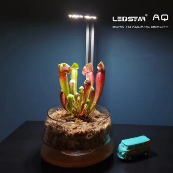 Ledstar 臺面植物燈