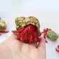 草莓寄居蟹 Strawberry Hermit Crab ( Coenobita perlatus )