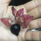 虎斑睡蓮 Red Tiger Lotus ( Nymphaea zenkeri）