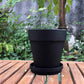 簡約透氣黑陶花盆 Terracotta flower pot