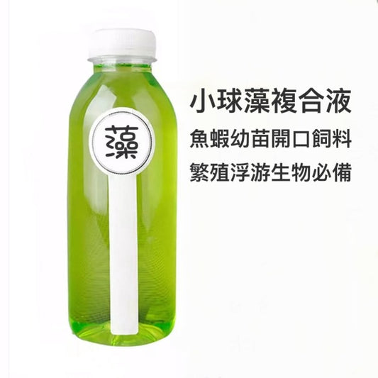 小球藻 / 綠水（Chlorella vulgaris）