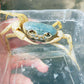 藍白勾手蟹 Blue Pirate Crab (Vietorintalia rubrum)
