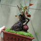 何首烏 Chinese knotweed mini bonsai ( Fallopia multiflora )