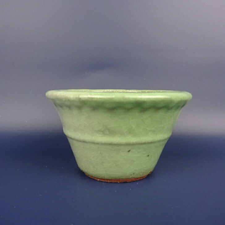 Potted plant bowl Hattori outer bowl Maru bowl Nakahara glaze Tokoname ...