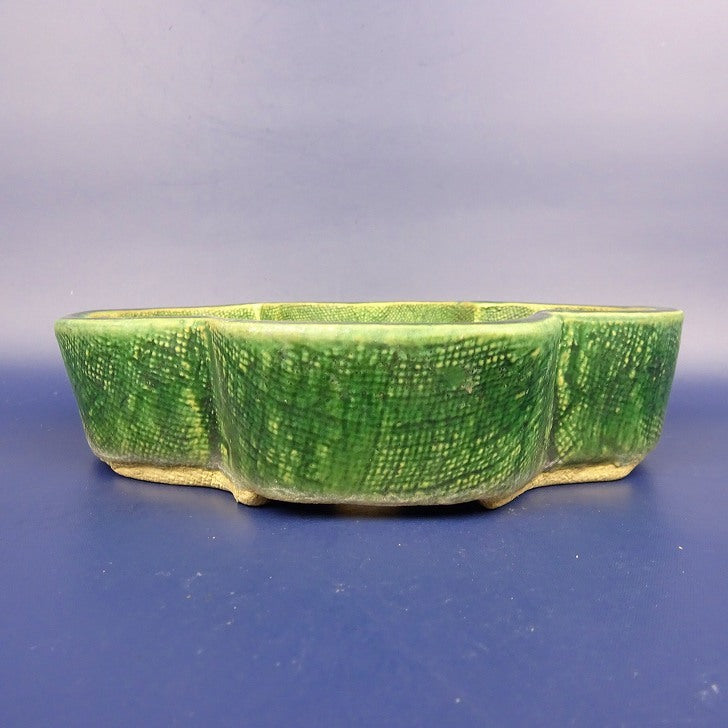 中古盆栽鉢 春松 小型 長辺 約18.3cm 木瓜鉢 緑釉 釉薬  中古鉢